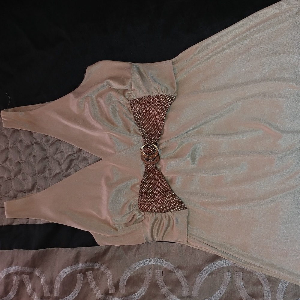 Champaign top/dress